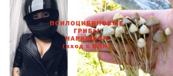 бошки Нязепетровск