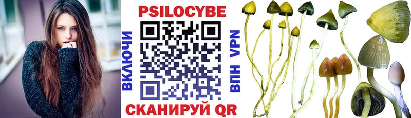 omg сайт  Качканар  мориарти как зайти  Псилоцибиновые грибы мухоморы 
