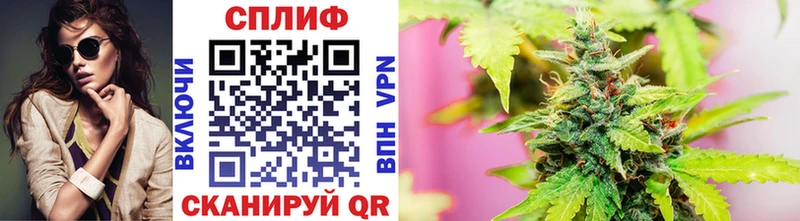 Конопля сатива  Качканар 